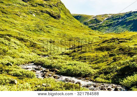 River Stream In Green Summer Mountains, Norway Natue