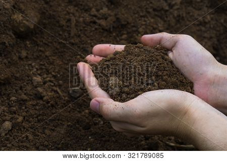 Two Hands Were Holding Soil For Prepare Planting.symbol Of Spring And Ecology Concept