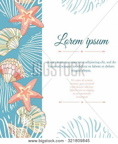 Shells Border. Happy Birthday Card With Cartoon Sea Star, Seaweed And Shells. Vector Template