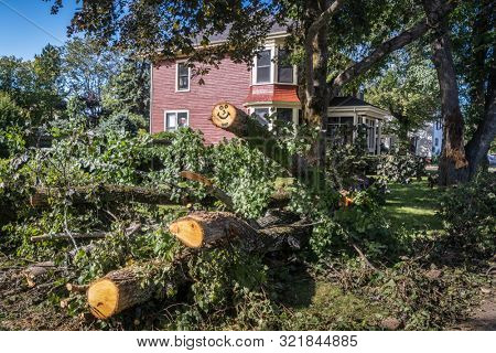 Clean up in the aftermath of Hurricane Dorian in a residential neighborhood.