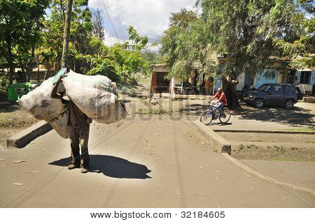 ARUSHA, TANZANIE