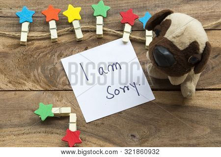 I Am Sorry Message Card Handwriting With Colorful Wooden Star Clips ,dog Toy Arrangement Flat Lay Po