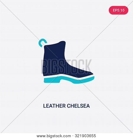 two colored leather chelsea boots vector icon from clothes.