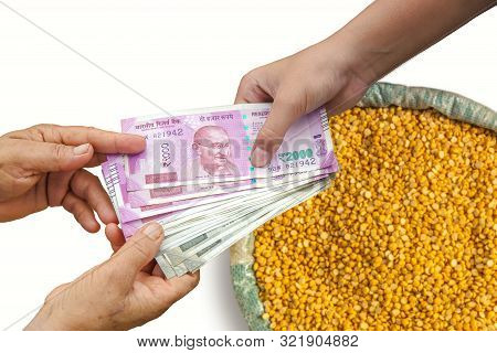 Hand Giving Indian 500 And 2000 Rupee Bank Notes Over Bag, Burlap Full Of Chickpeas, Yellow Chana Sp