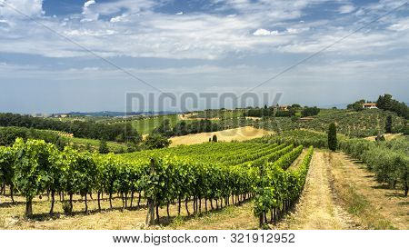 Rural Landscape Along The Road From Certaldo To Gambassi Terme, Florence, Tuscany, Italy, At Summer
