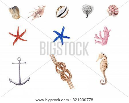 Hand Drawn Watercolor Nautical Illustration Set. Anchor, Knot, Sea Horse And Sea Shells Isolated On 