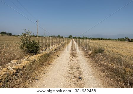 The August Road As It Passes Through The Senia