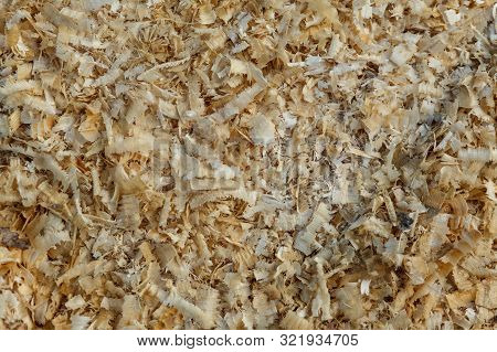 Light Refuge Wooden Background. Pine Shavings. Sawdust After Cutting Firewood.