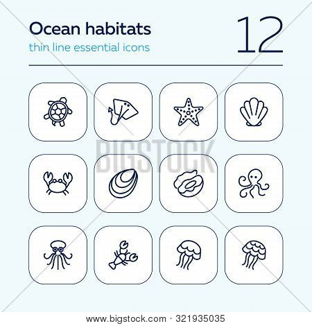Ocean Habitats Icon Set