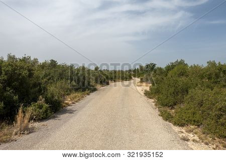 The August Road As It Passes Through The Senia