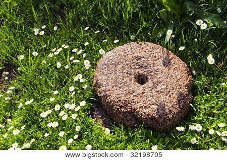 Gammal kvarnsten på gräsmattan och Daisy blommor