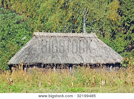 Gamle stald med et strå tag