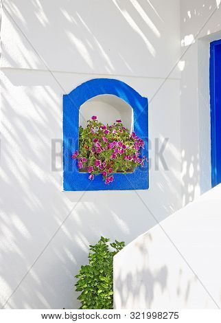 Blooming Flowers On White Wall With Blue Details Koufonisia Islands Cyclades Greece