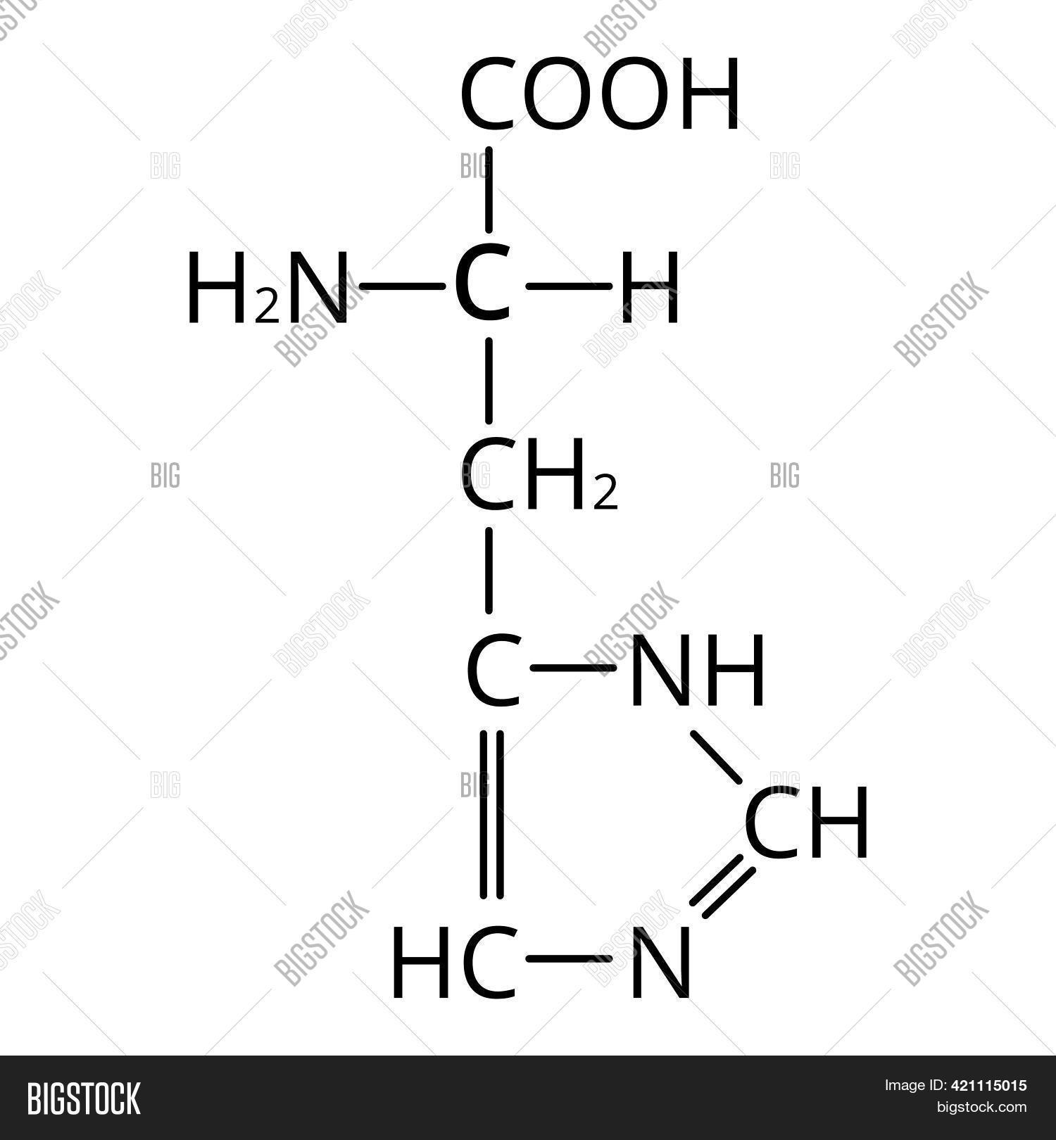 Amino Acid Histidine. Image & Photo (Free Trial) Bigstock