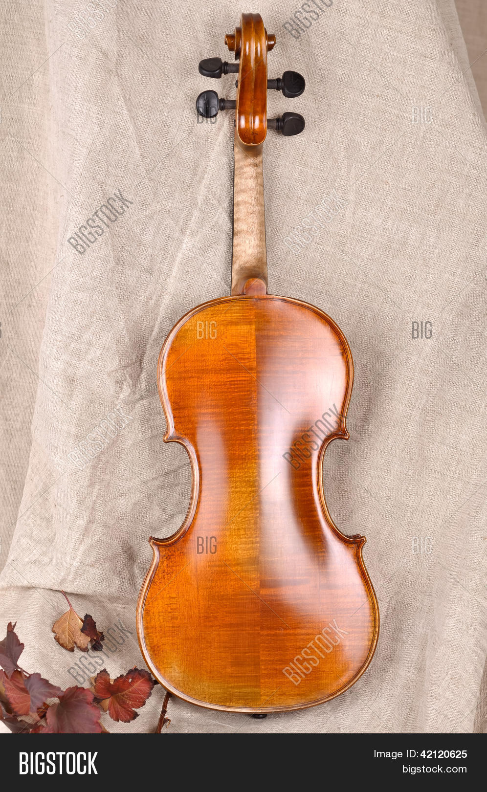 Violin Back View Image & Photo (Free Trial) Bigstock
