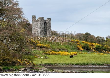 The Ruins Of Audleys Castle In County Down Northern Ireland