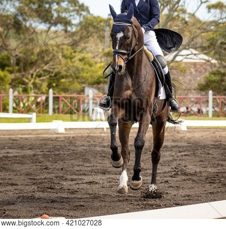 Dressage Competition Riders And Horses, Outdoors Show.