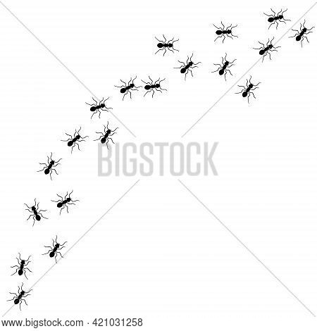 Ant Vector Trail Marching Illustration. Ant Bug Pest Control Background Teamwork
