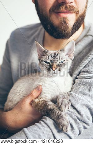 Handsome Man Is Holding Cat Little Devon Rex Cat. Spending Time With Cat, Boosting Your Mood And Low