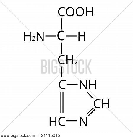 Amino Acid Histidine. Chemical Molecular Formula Histidine Amino Acid. Illustration On Isolated Back