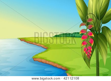Illustration af en panoramisk udsigt