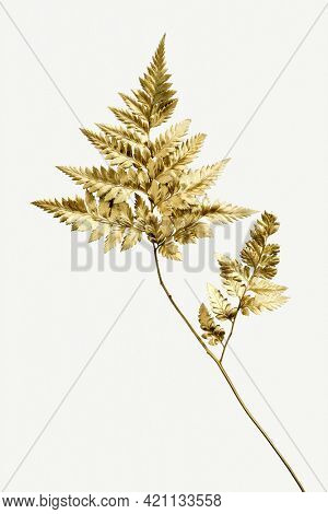 Golden leatherleaf fern plant mockup