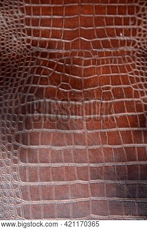 Alligator Skin. Crocodile Skin. Real Alligator Skin. Fake Alligator Skin. 