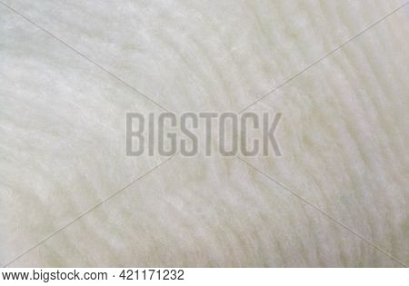 Folded Layers Of White Fluffy Sintepon In The Garment Industry.