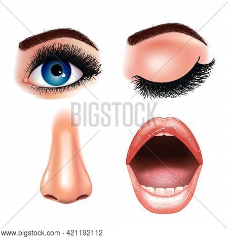 Set Of Beautiful Female Eyes With Extended Eyelashes, Nose And Smiling Mouth With Glossy Lips. White