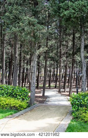 Halkali,istanbul,turkey- May 20,2021.spring View From Halkali Public Park With Its Nature,green Area