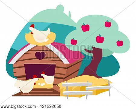 Chicken Farm Flat Vector Illustration. Poultry Organic Farming, Countryside Hennery Cartoon Concept 