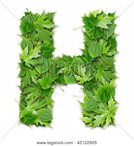 La lettre des feuilles