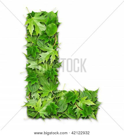 La lettre des feuilles