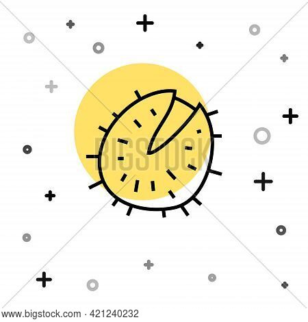 Black Line Chestnut Icon Isolated On White Background. Barbed And Strong Chestnut. Random Dynamic Sh