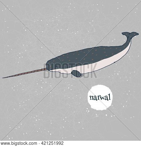 Narwal Vector Illustration. Hand Drawn, Isolated On Gray Background With Mesh And White Watercolor S