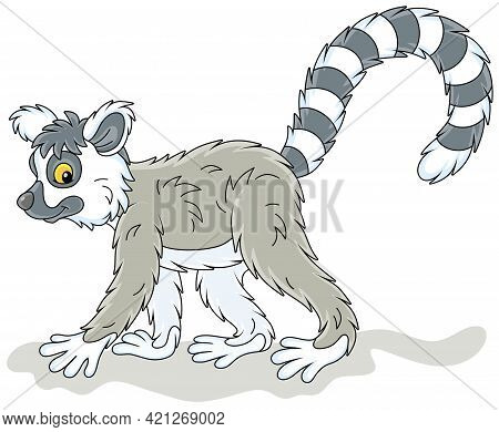 Exotic Tropical Madagascar Ring-tailed Lemur Walking, Vector Cartoon Illustration Isolated On A Whit