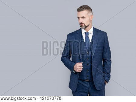 Mature Man Ceo With Grizzled Hair In Formal Suit Copy Space, Businesslike