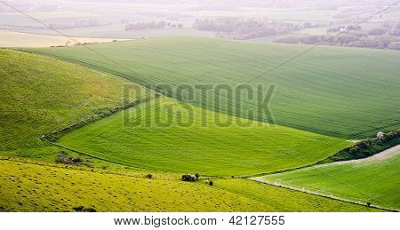 Summer countryside landscape