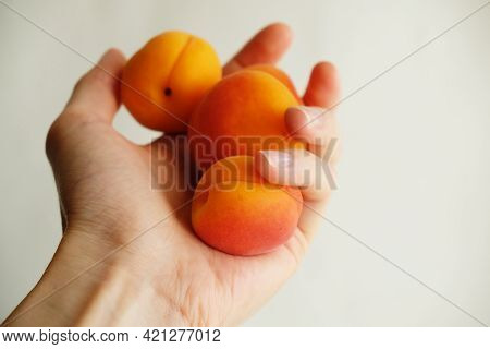 Handful Of Apricots In Hand On White Background, Close-up