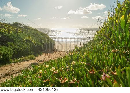 Landscape Of Sunset In Sao Pedro De Maceda Beach. Ovar, Portugal.