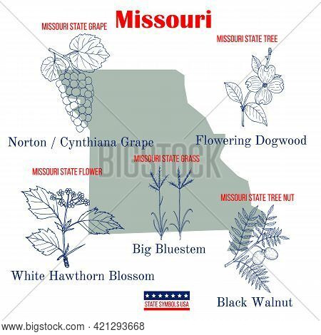 Missouri. Set Of Usa Official State Symbols. Vector Hand Drawn Illustration
