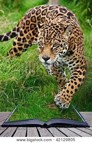 Creative Concept Image Of Jaguar In Pages Of Book