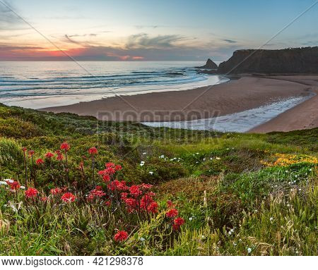Pink Sunset Ocean Scenery With Wild  Flowers Blossoming On Summer Odeceixe Beach (aljezur, Algarve, 