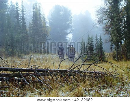 In Mountains Altai