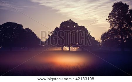 A fényes napsugarak Sunrise táj ragyogó köd