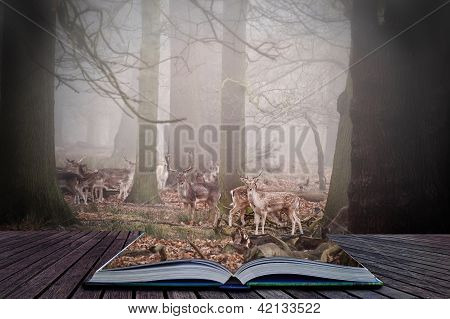 Cena de floresta no livro mágico com Gamo em árvores