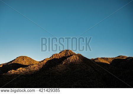 Morning Colors Light The Tops Of Hugh Norris Trail In Saguaro National Park