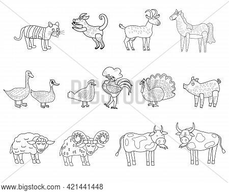 Farm Set Animals Coloring Book Educational Illustration For Children. Set Cute Cow, Buffolo, Sheep, 