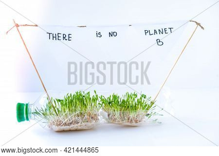 There Is No Planet B Young Green Plants In Plastic Bottle. Ecology And Environmental Conversation. E