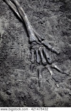 A Skeletons Hand In A Grave Close-up. Ancient Burial Site Of Tagar Culture, Symbol Of Death, Blurr, 